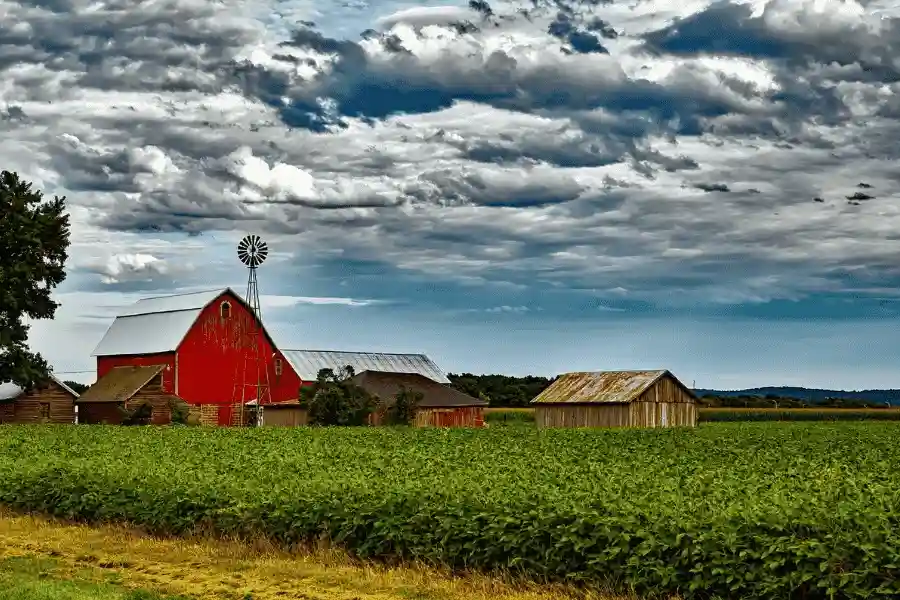 常见淡水虾养殖品种大盘点，选种不迷茫-科学养殖经验